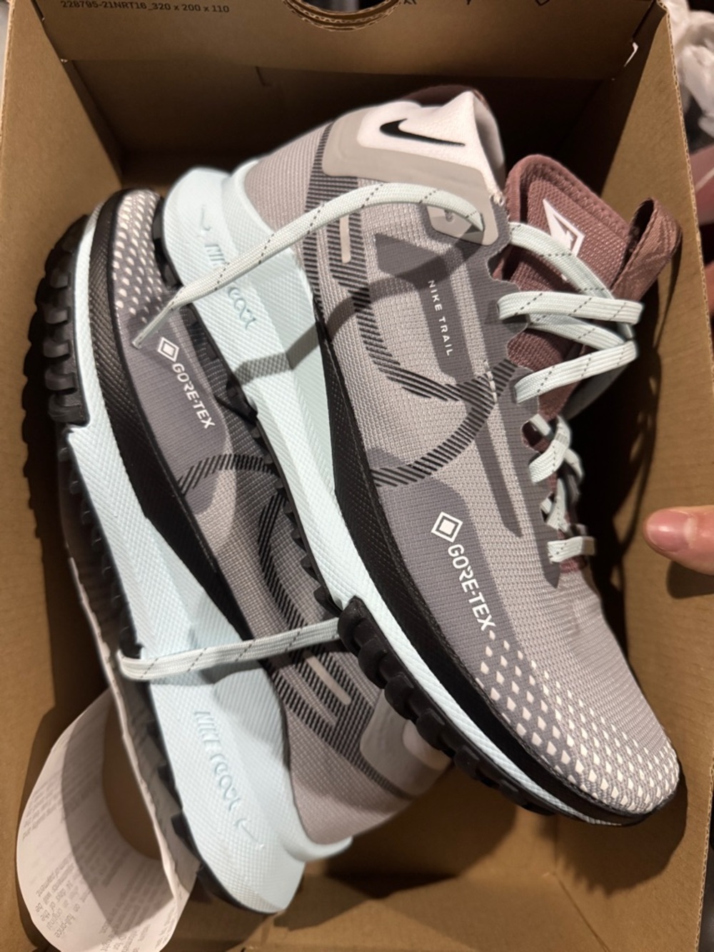 Nike Pegasus Trail 4 GTX